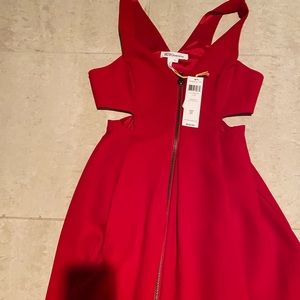 Red zip up dress